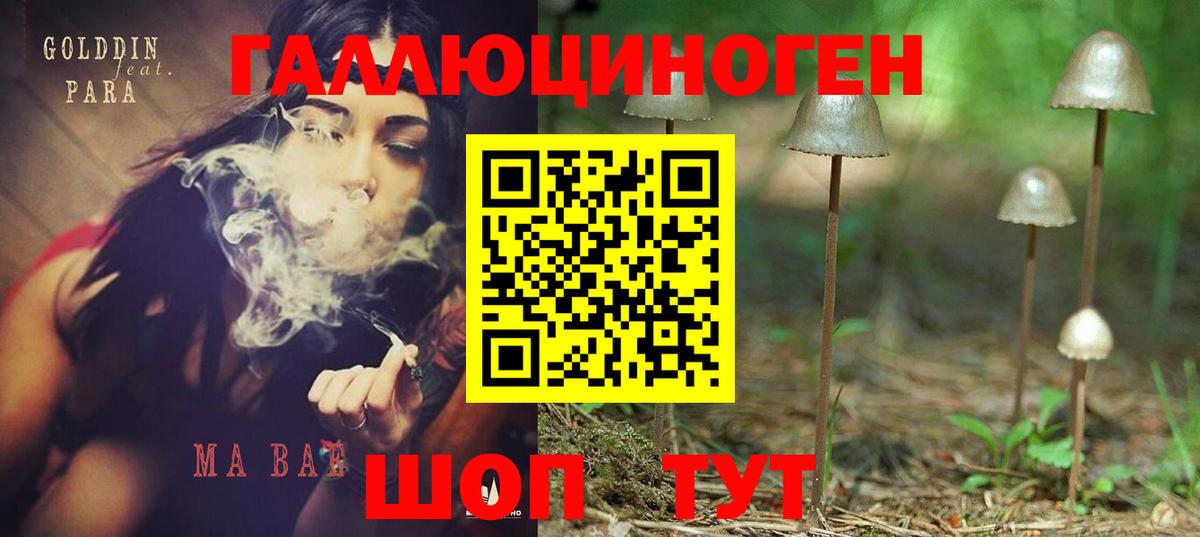 Галлюциногенные грибы MAGIC MUSHROOMS  Галлюциногенные грибы мицелий  Нефтекумск  Вход с VPN 